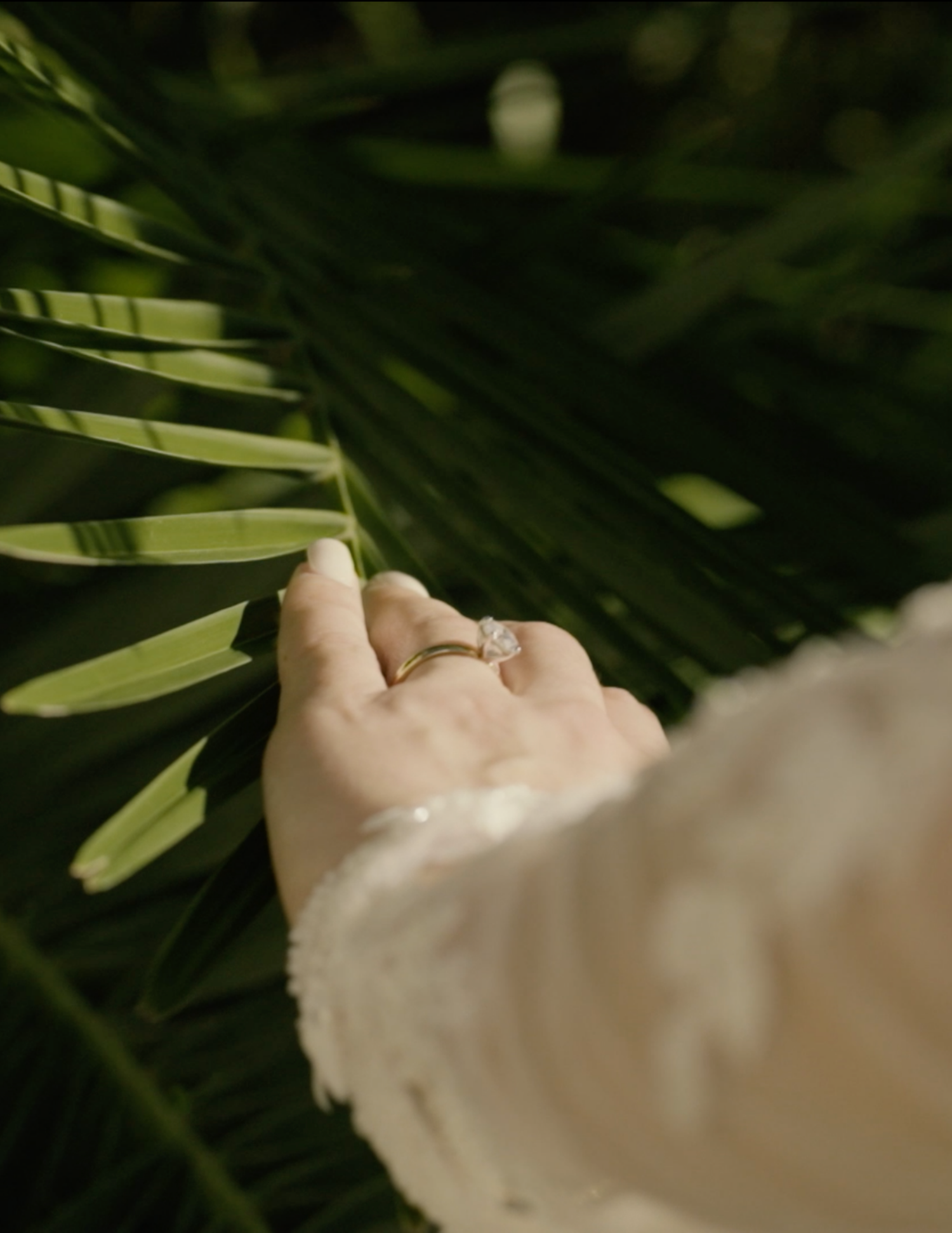 Close-up detail shot of a wedding ring against tropical palm leaves.