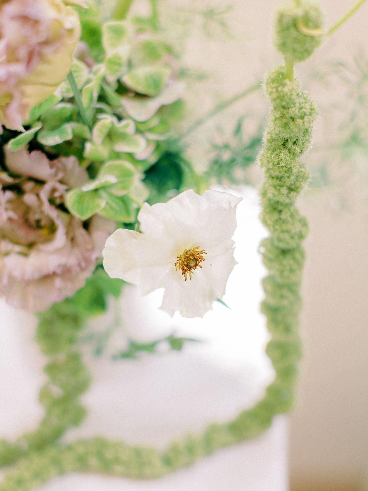 Jeanie Jang Photo New York Family Photographer Quality Bistro Korean Dohl 1st Birthday