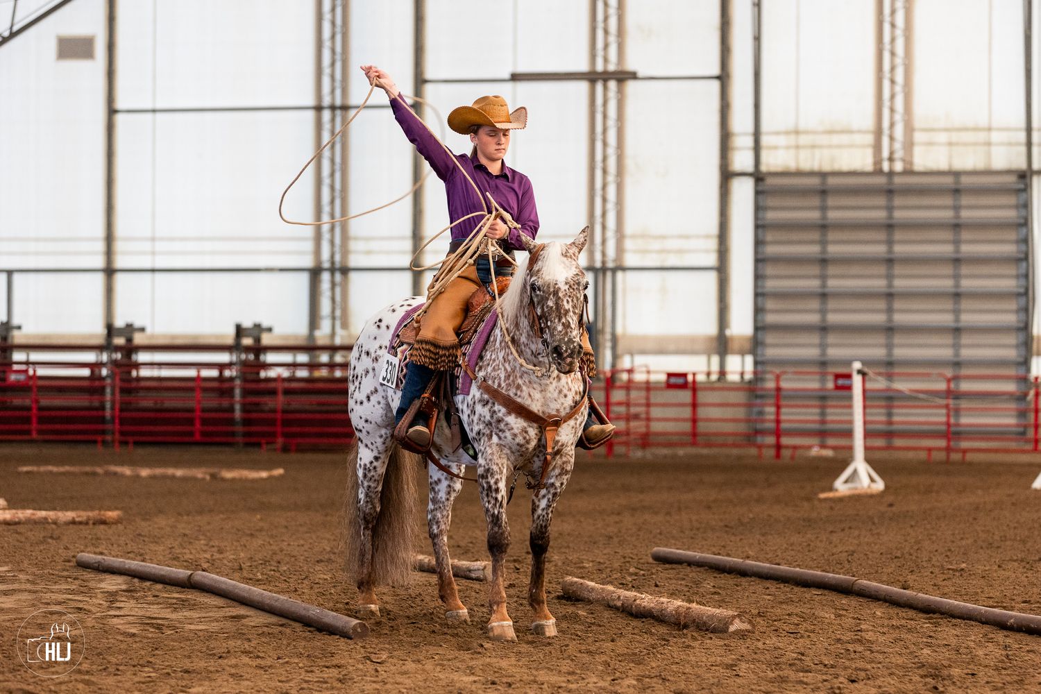 Beautiful dapple gray show horse performing in arena with decorated western tack.