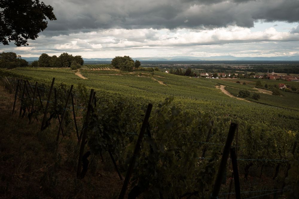 Séance photo en extérieur près de Sélestat au cœur du Bas-Rhin