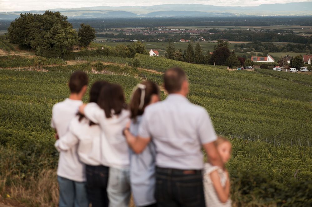 Famille de quatre enfants et leurs parents photographiés dans les vignes de Mittelbergheim
