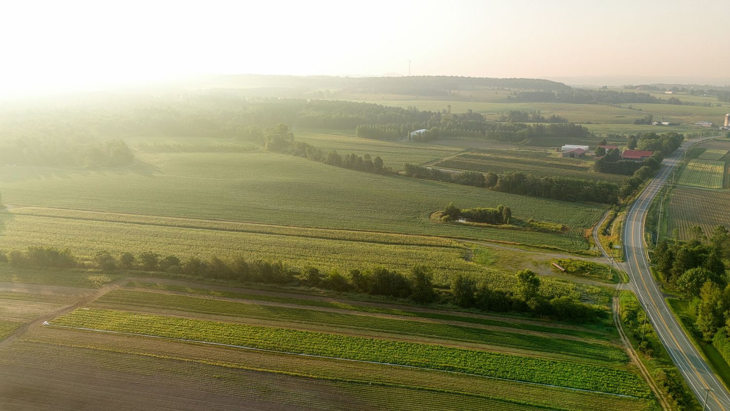 Photo aérienne dans un champ