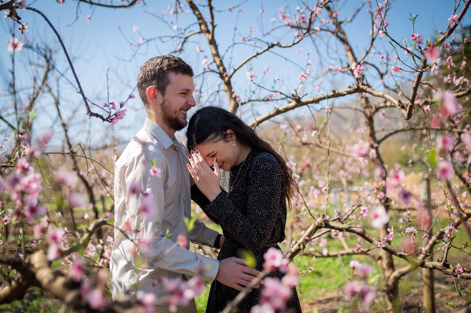 A couple embraces under blooming spring cherry blossoms in a romantic outdoor photoshoot.