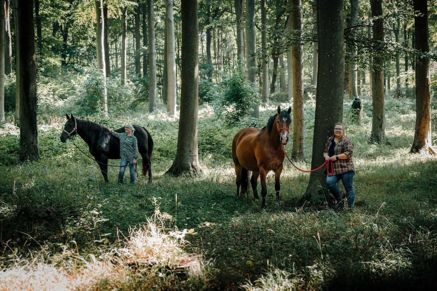 Romantic photoshoot in a sunny woodland forest with horses and shadows creating a dreamy atmosphere.