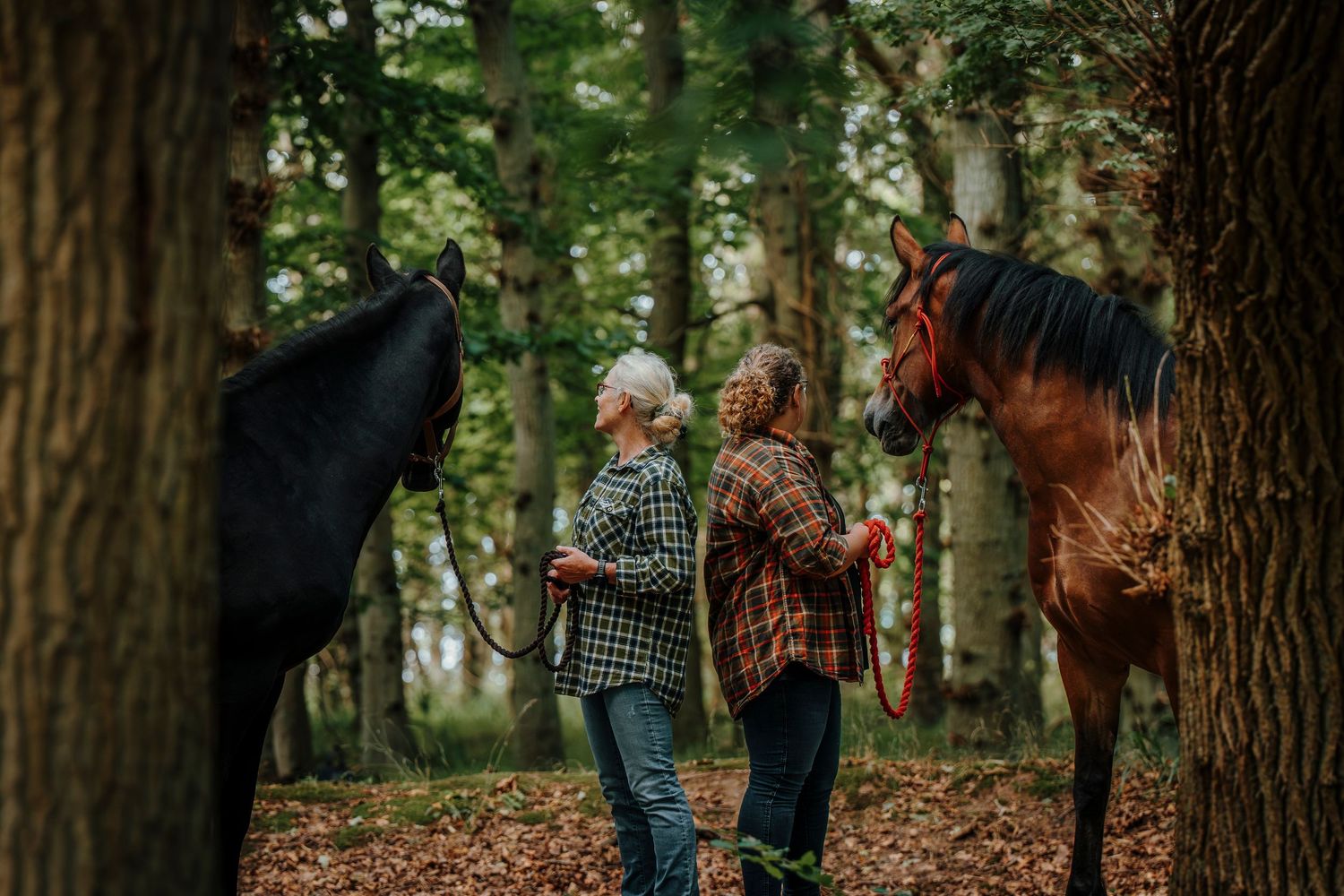 Two people walk together in a woodsy forest scene with horses peeking from behind trees in moody lighting.