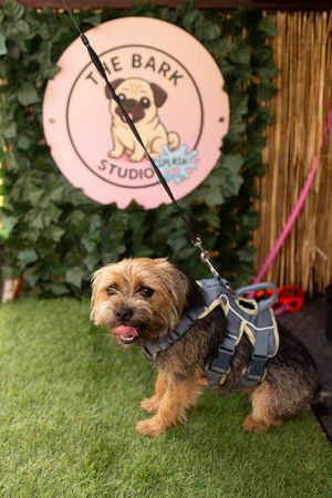 business grand opening event branding photography by little wonderland photography becca smith widnes cheshire