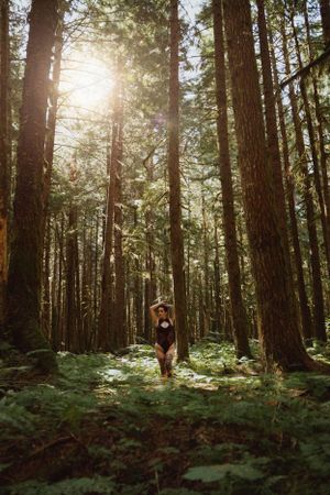 A figure stands in a sunlit forest surrounded by tall evergreen trees.