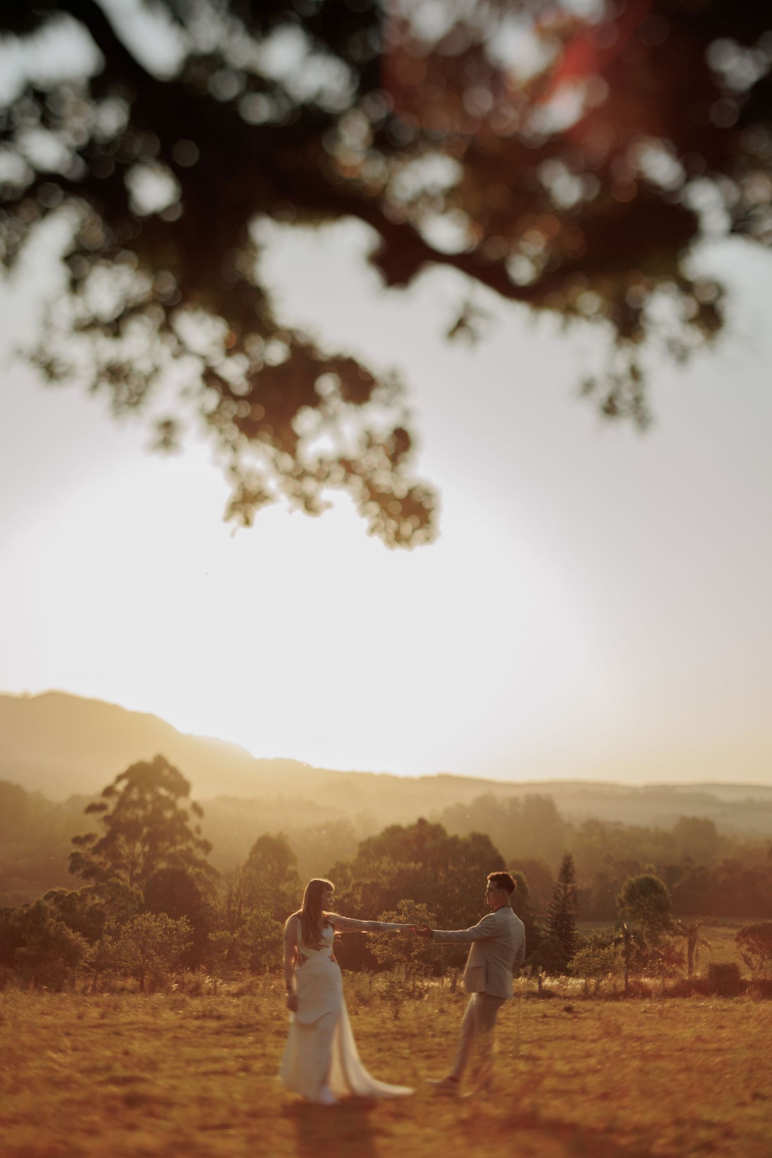 Dreamy sunset landscape photograph with trees silhouetted against a golden sky.