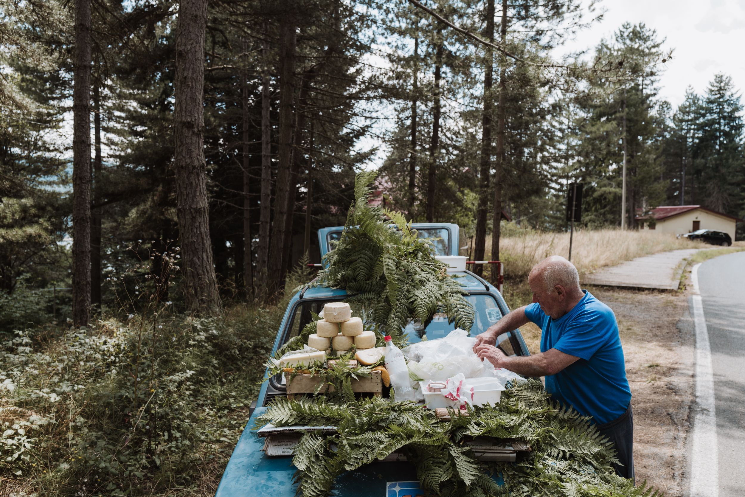 Person loading yard waste and tree branches onto the back of a blue truck parked along a forested road.