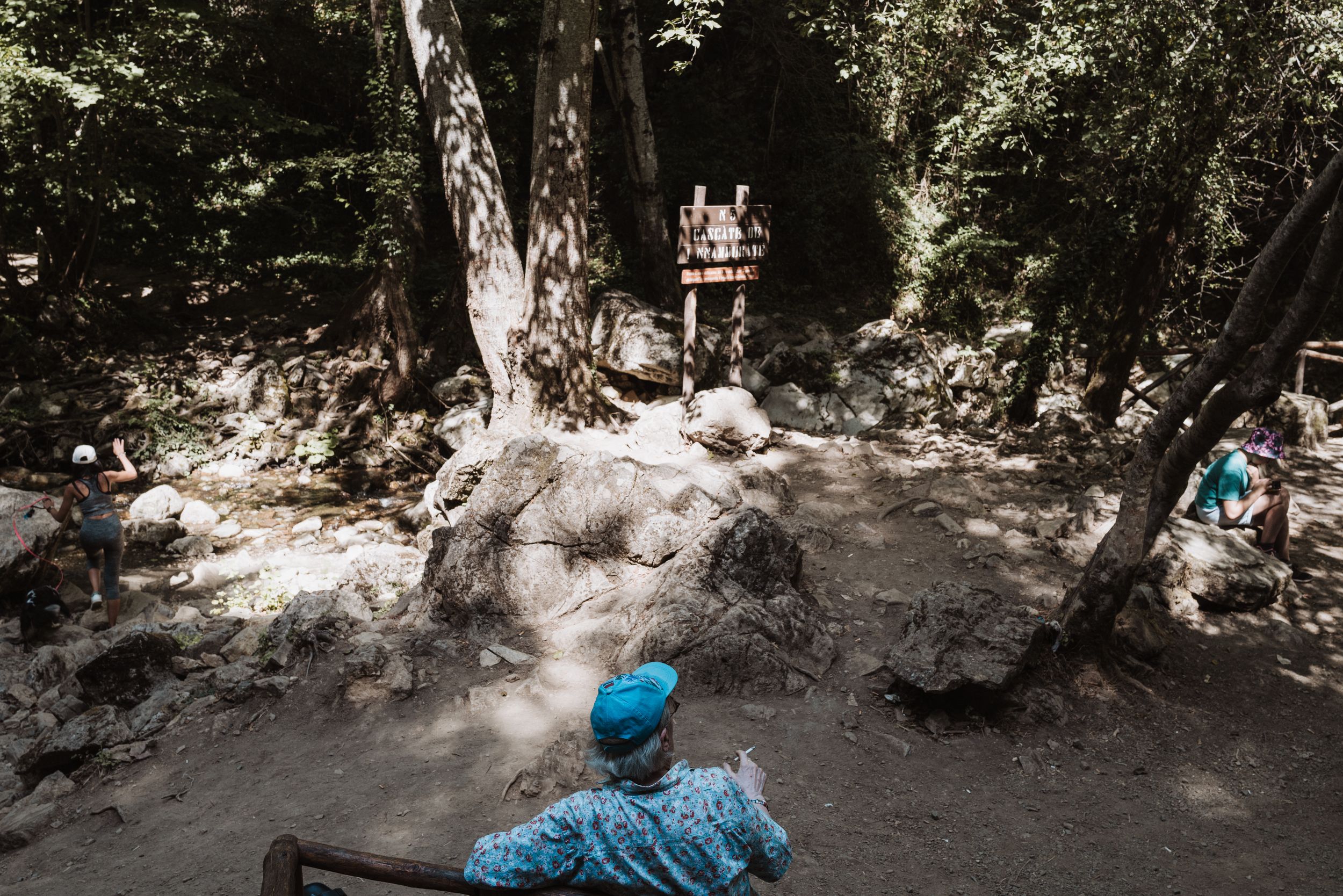 Person in blue sits by a rocky stream in a wooded forest area on a sunny day.