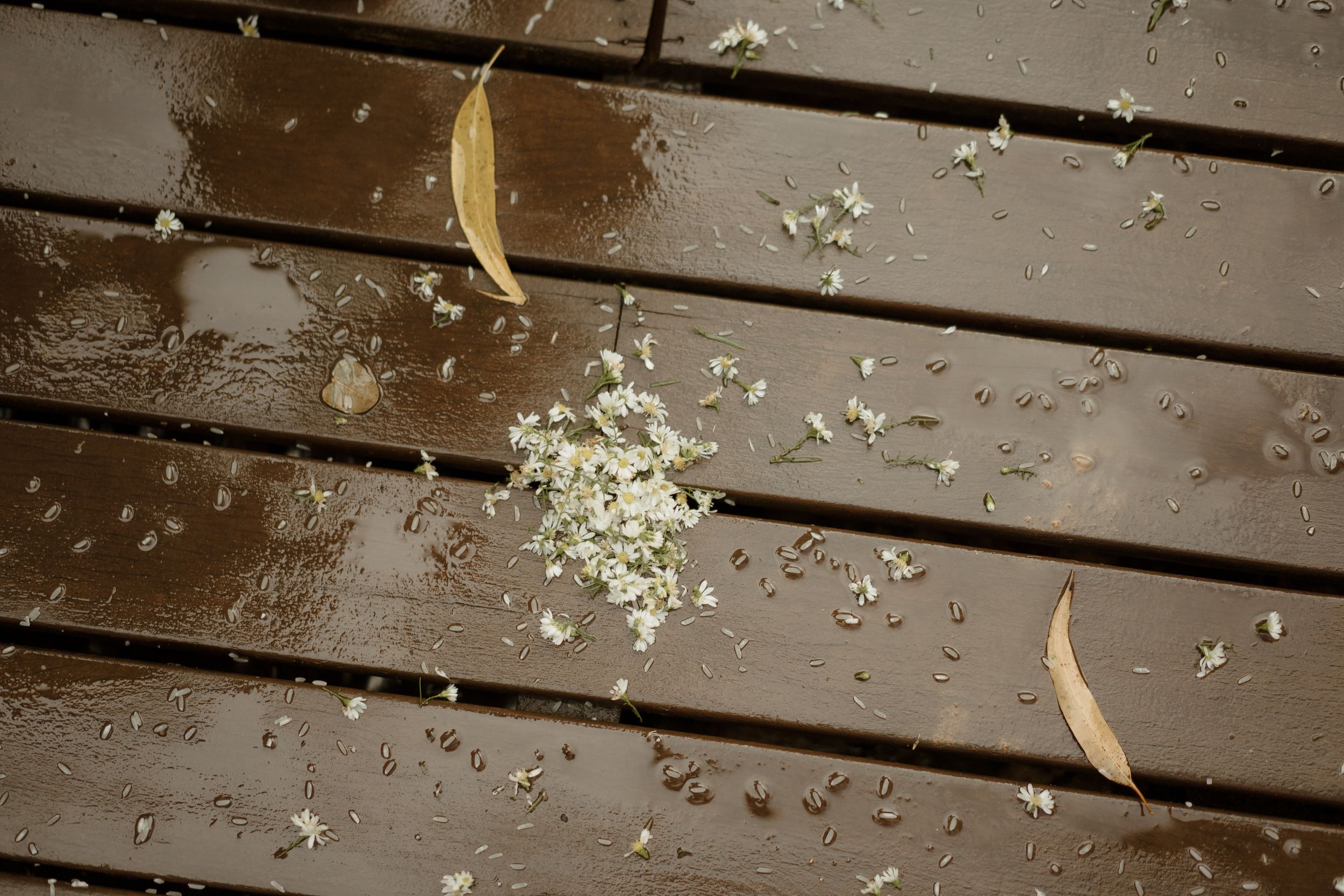Close-up of wooden deck flooring with scattered flower petals.