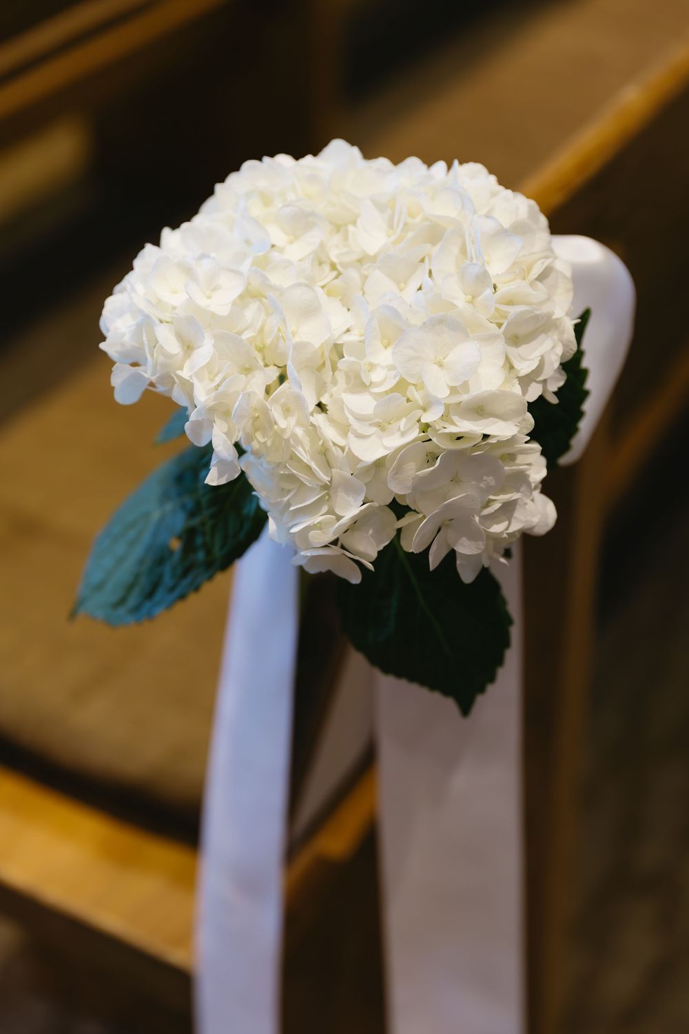 White hydrangea flower with green leaves tied to a pew with a white ribbon.