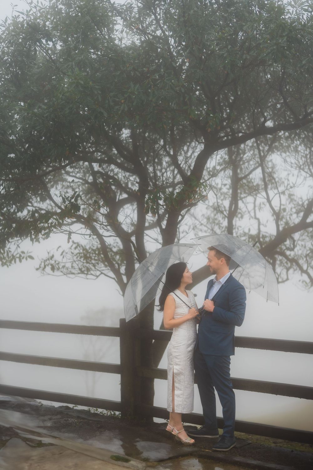 A couple in formal attire shares a romantic moment under a misty tree by a wooden railing with fog in the background.