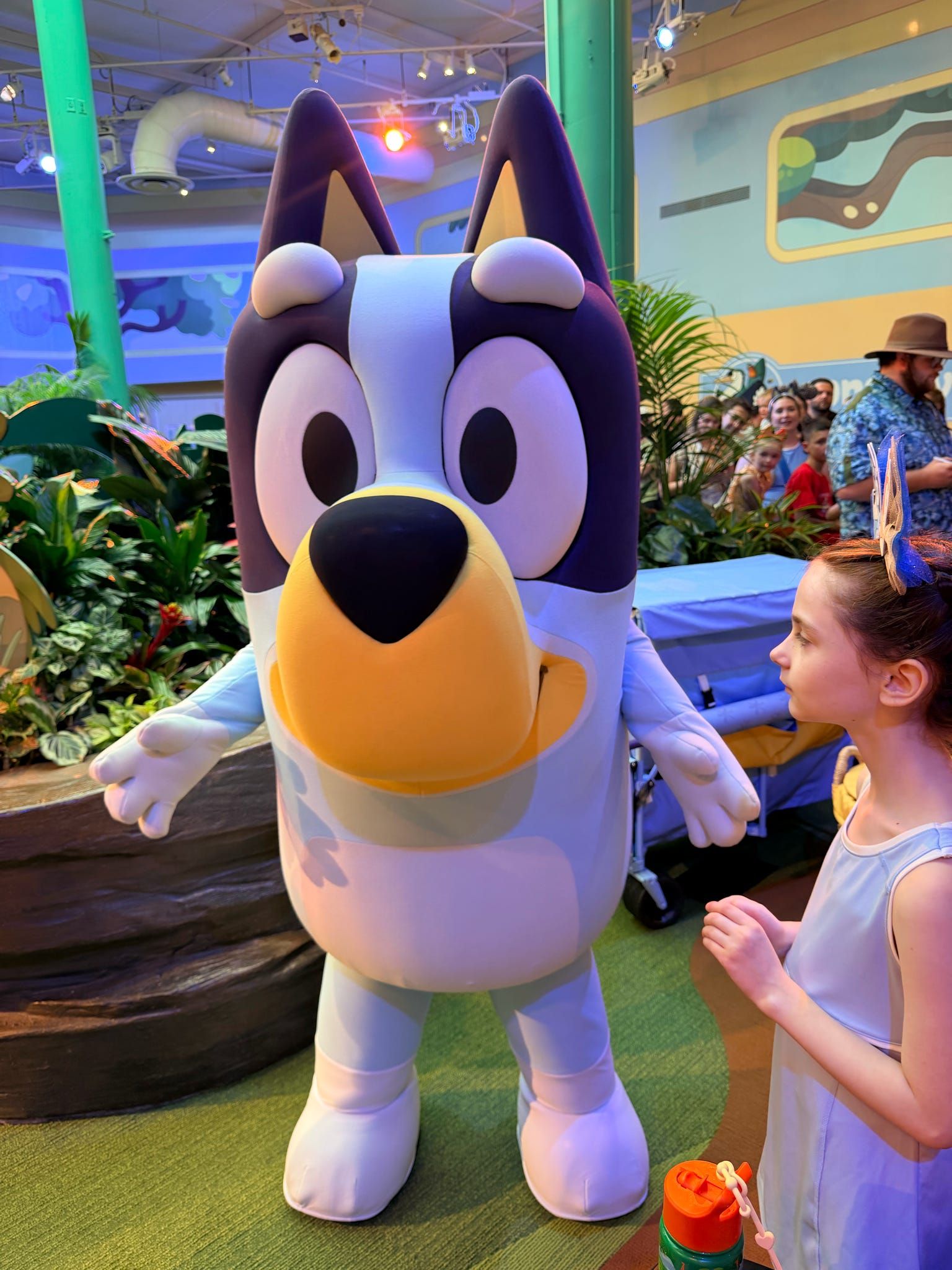 A child meets the Bluey character mascot costume at an indoor theme park meet-and-greet event.