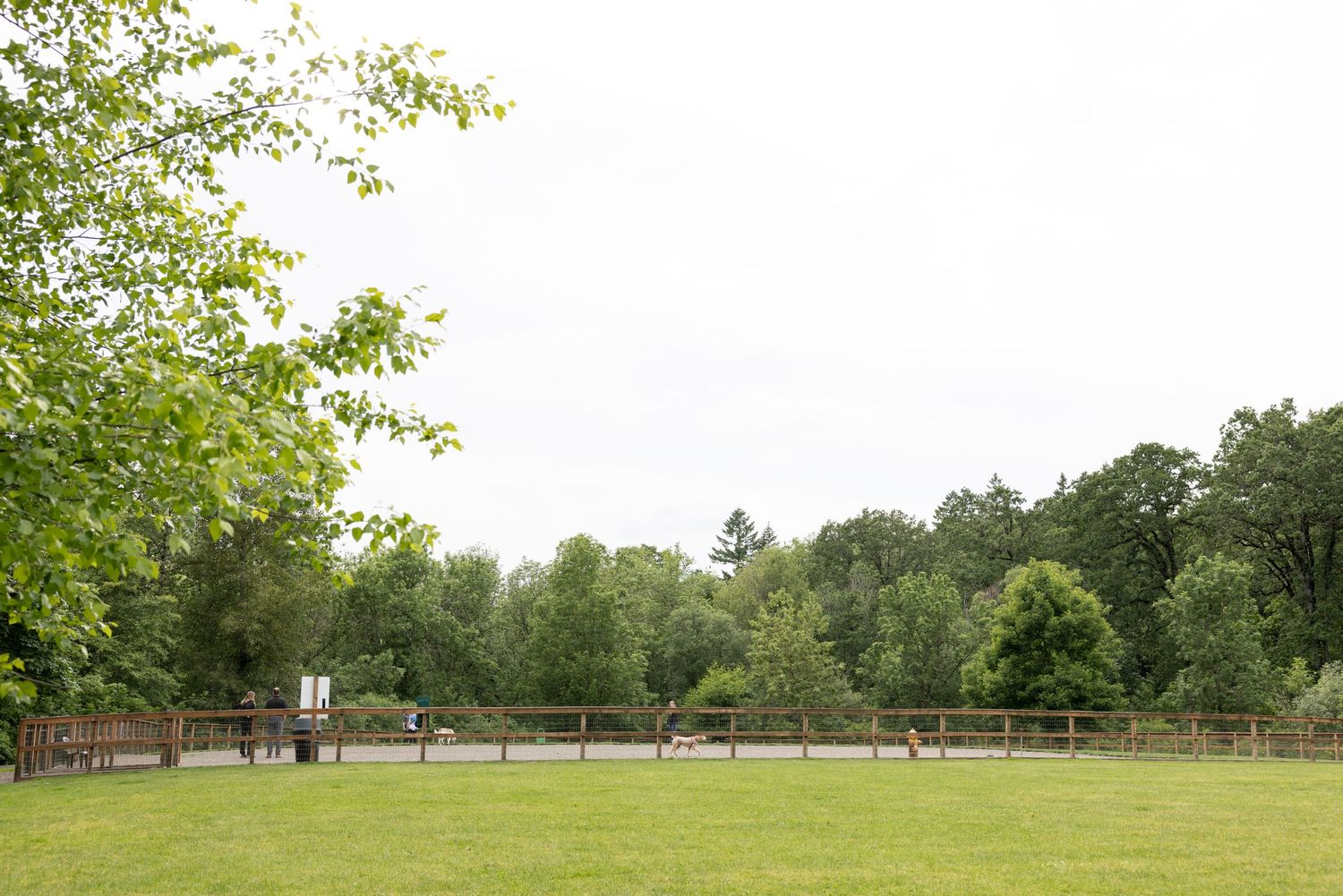 West Waluga Dog Park in Lake Oswego, oregon