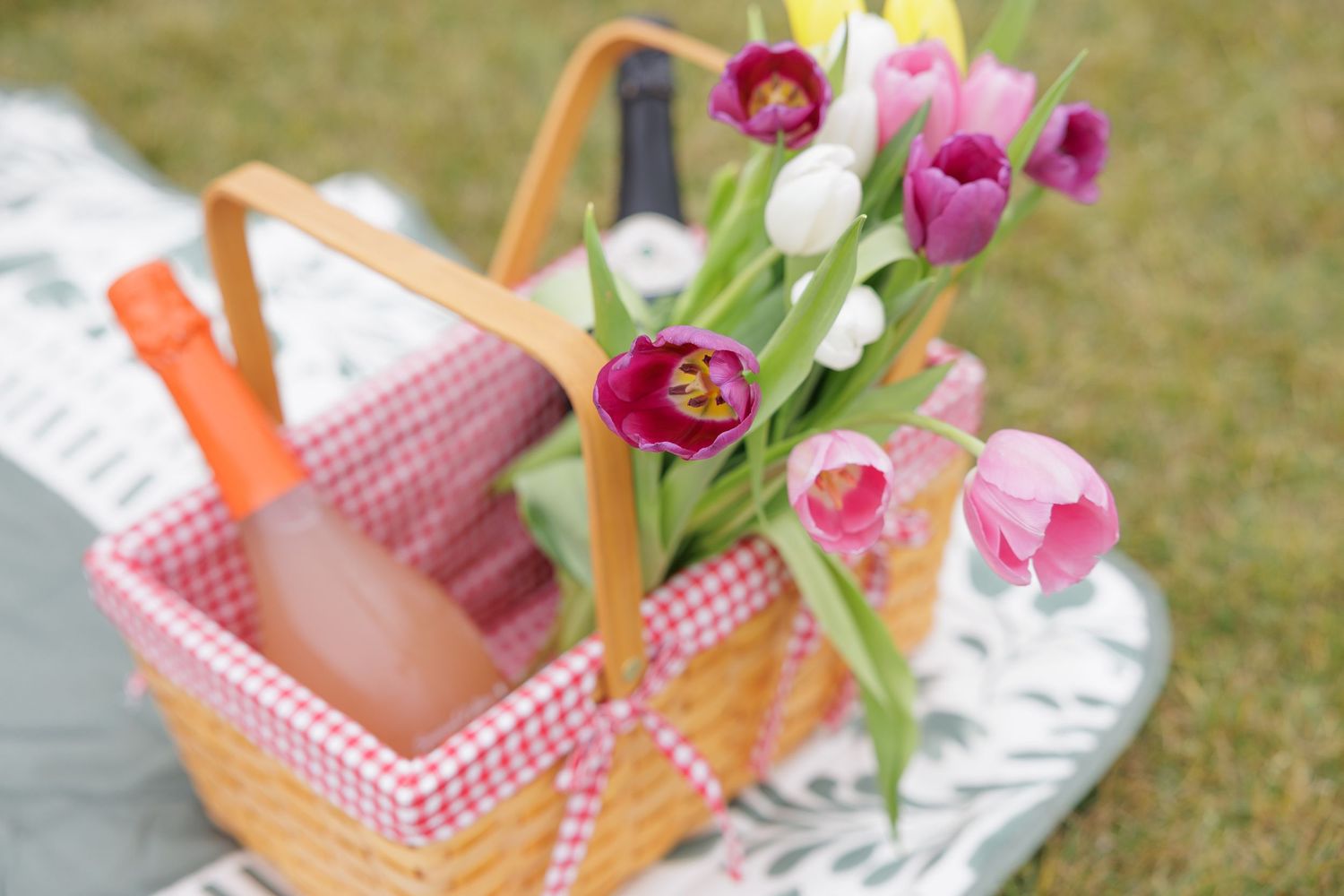 Fresh pink and yellow tulips laying on a light colored surface with a soft blue background.