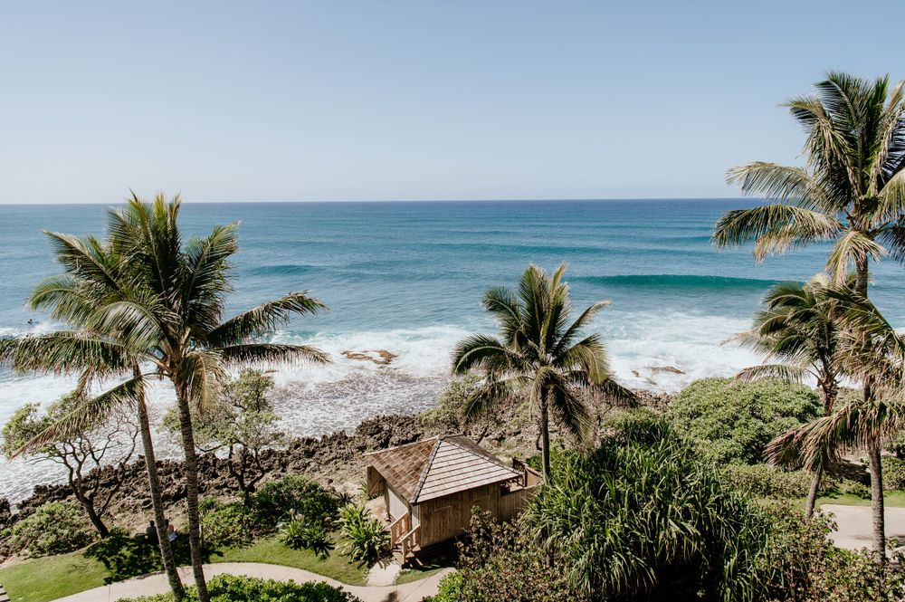 Tropical oceanfront view with palm trees and a small thatched hut overlooking turquoise waves on a sunny beach.