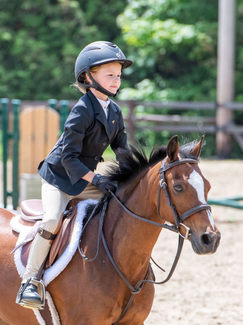 Hunter jumper pony and rider photo
