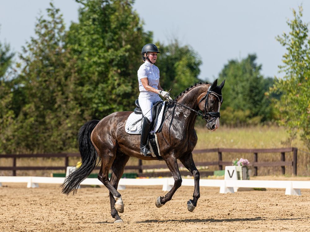 Dressage horse and rider photo