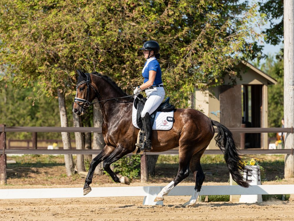 Dressage horse and rider photo