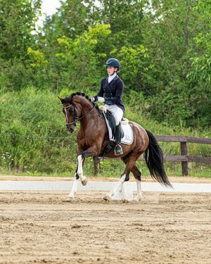 Dressage horse and rider at horse show photo