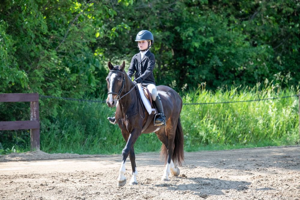 Hunter jumper pony and rider photo