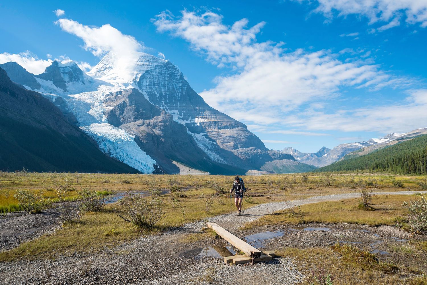 Hiker traverses alpine meadow with snow-capped mountain peaks and glaciers in background.