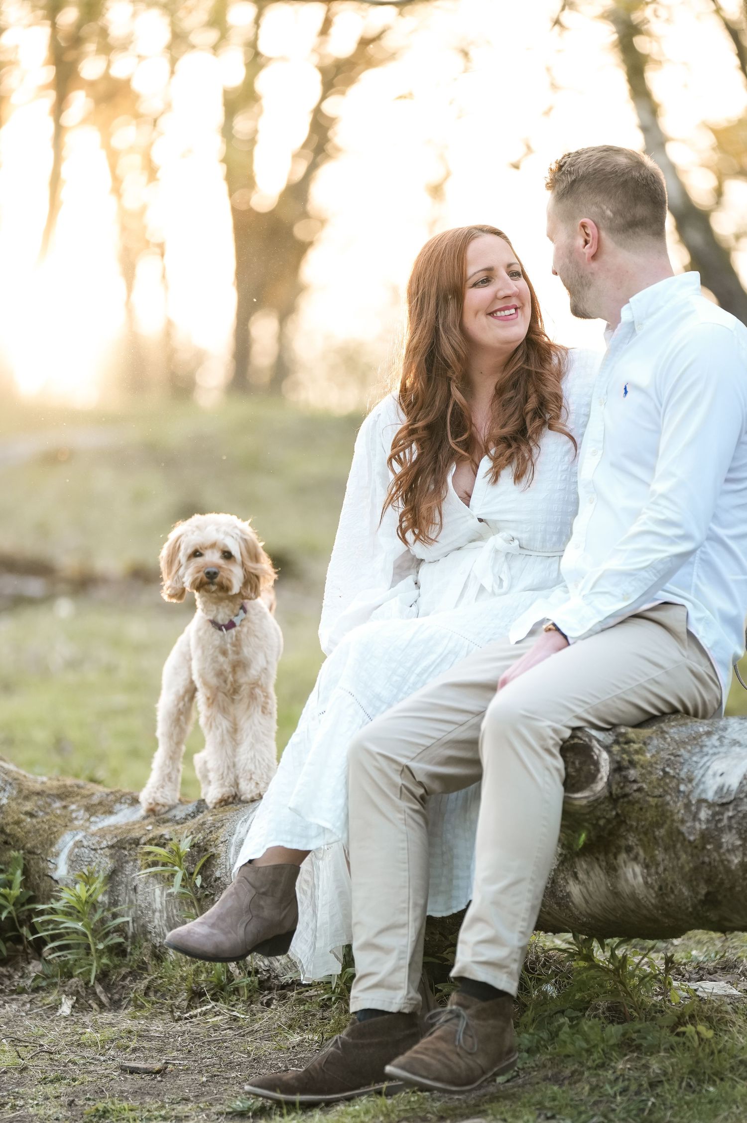 Couple sitting on a fallen log in a sunlit outdoor setting with their small dog.