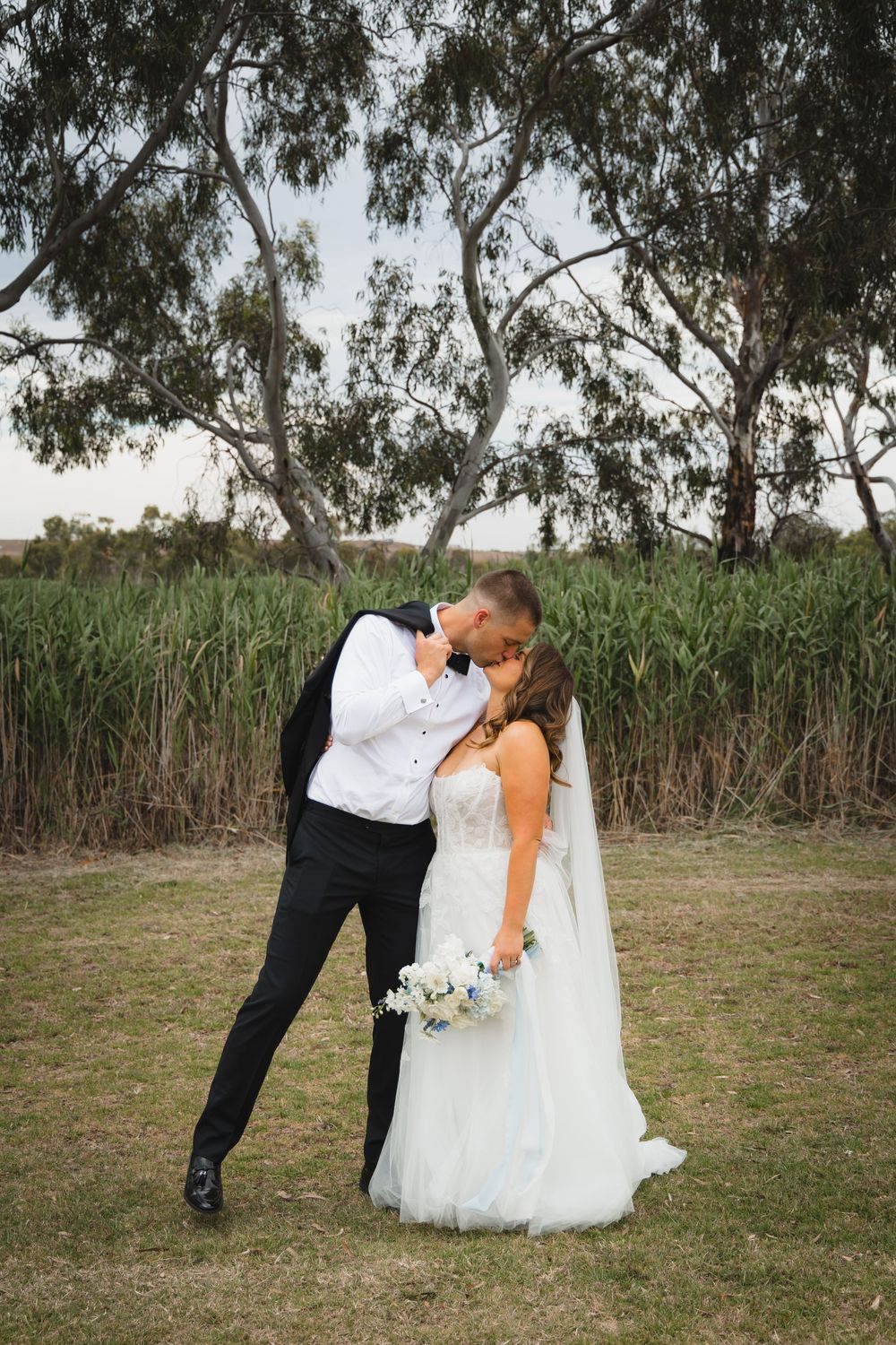 A romantic wedding couple shares a kiss under towering eucalyptus trees near tall reeds at dusk.