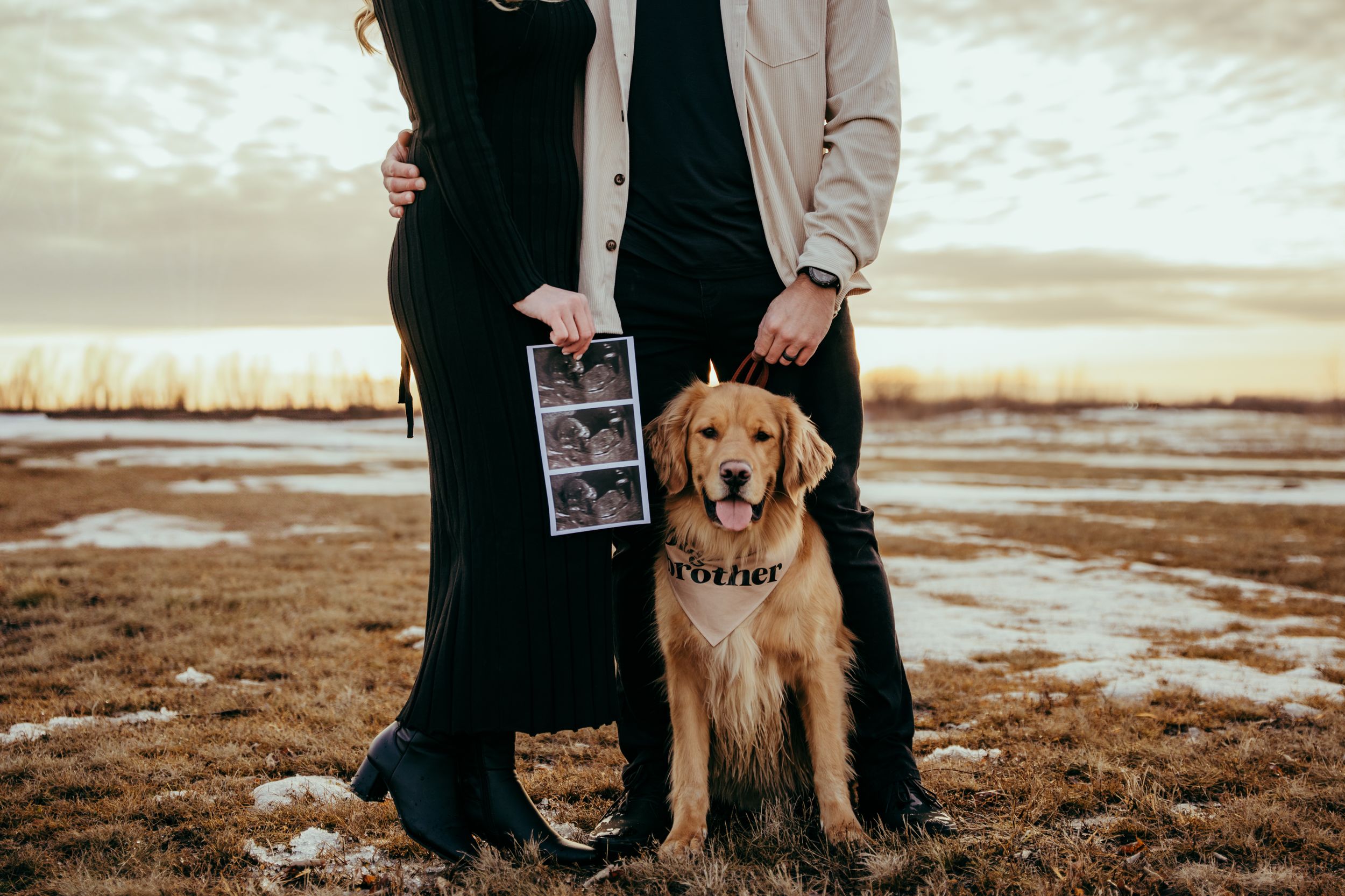 A golden retriever stands with couple holding ultrasound photos during a pregnancy announcement photoshoot at sunset.