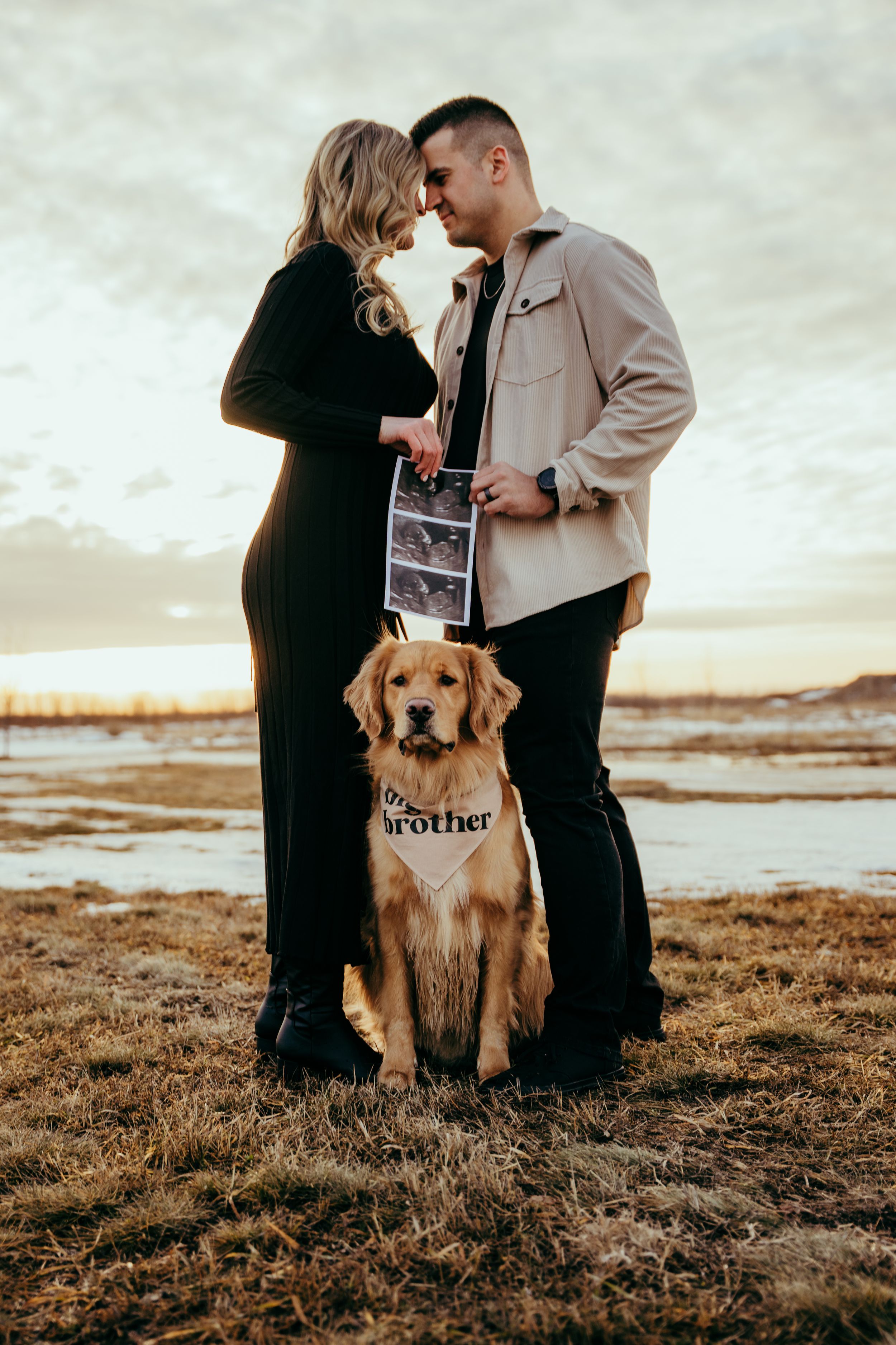 A couple with their golden retriever dog wearing a 'brother' bandana share pregnancy announcement photos at sunset.