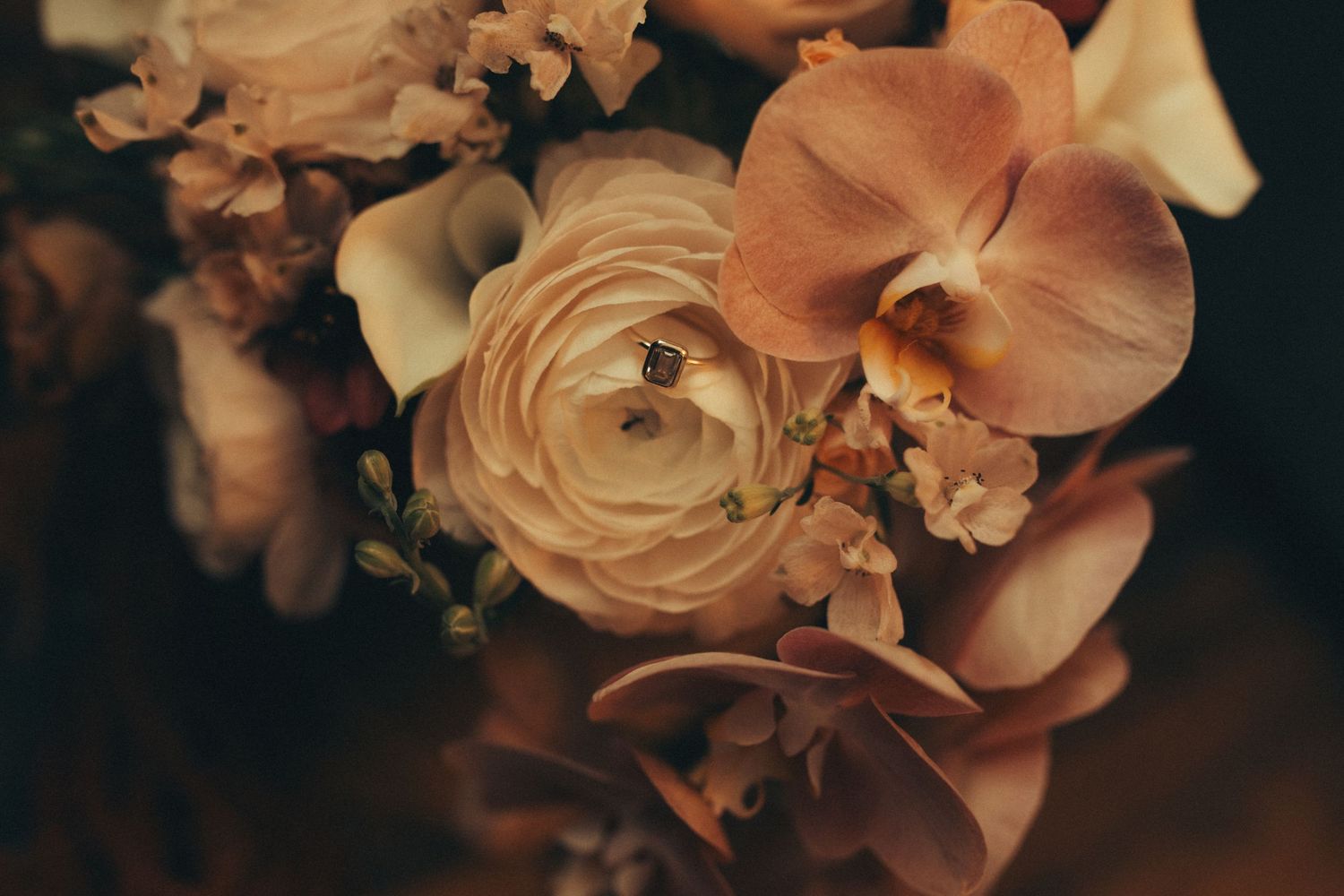 Delicate peach and coral colored orchids arranged in a moody, dark setting with soft lighting.