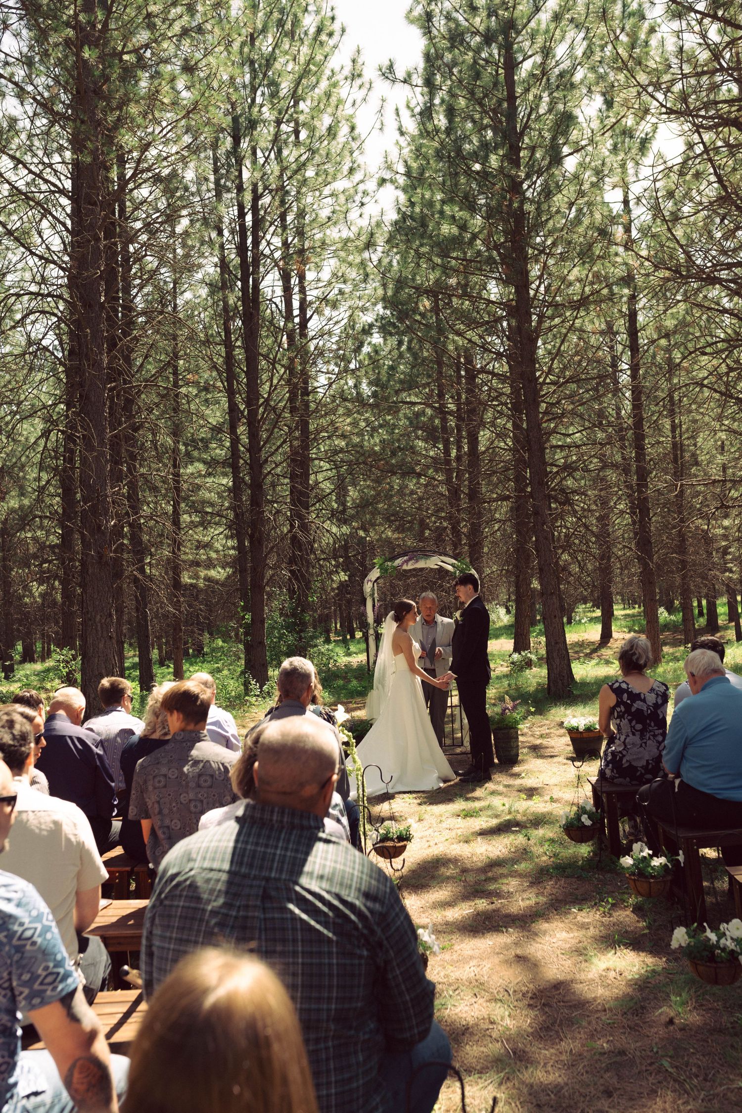 Outdoor forest wedding ceremony with bride and groom at rustic arch, surrounded by tall pine trees and seated guests.