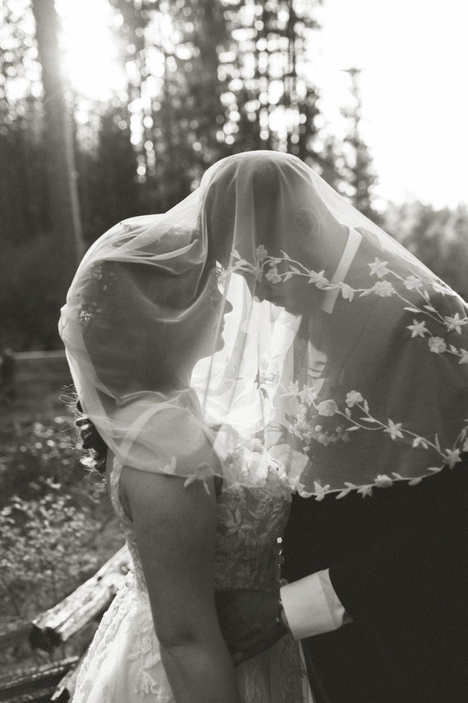 A bride and groom embrace under a delicate lace veil in a sunlit forest setting.