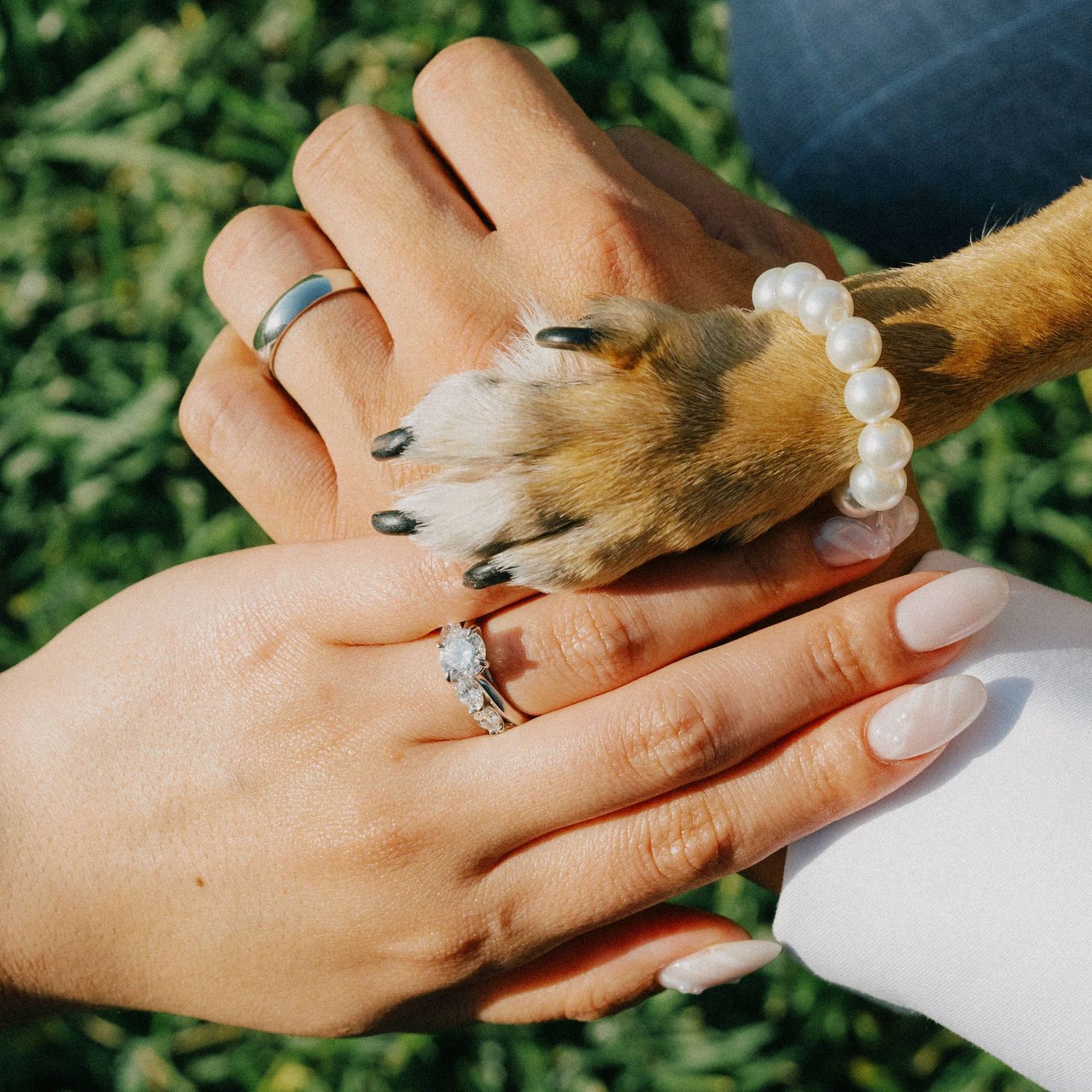 "Gold Coast couple and dog's hands by wedding photos, by top photographer"
