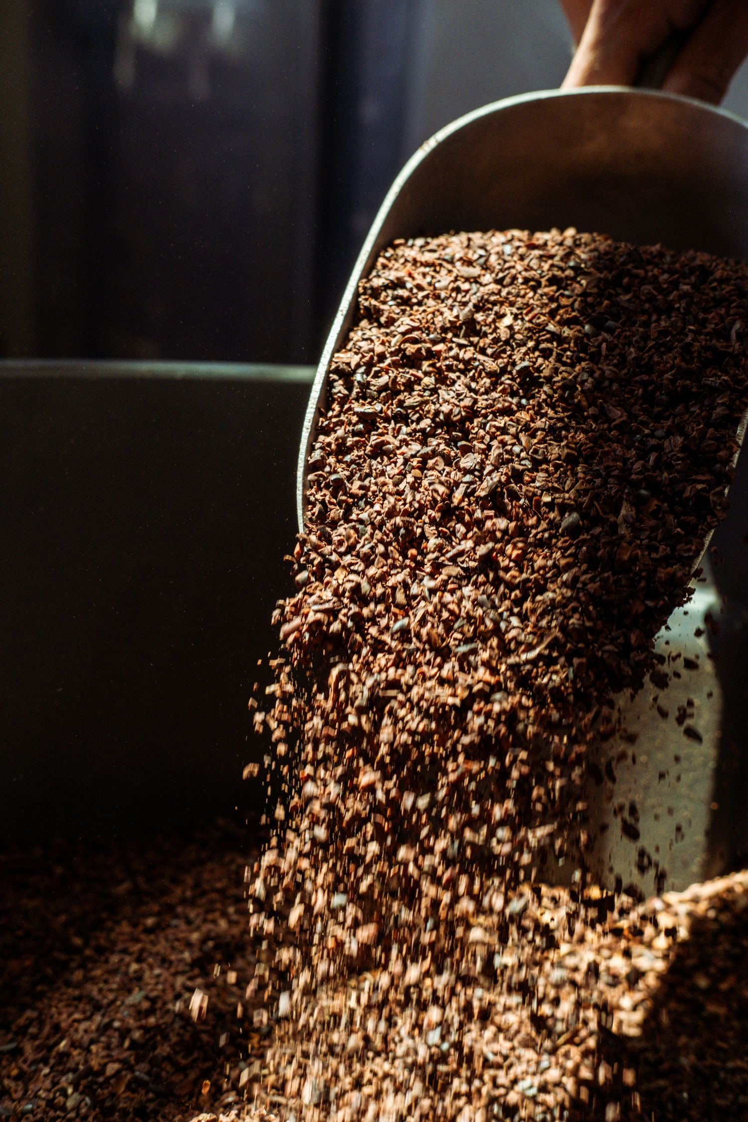 Coffee beans cascading from a metal scoop creating a textured brown waterfall effect.