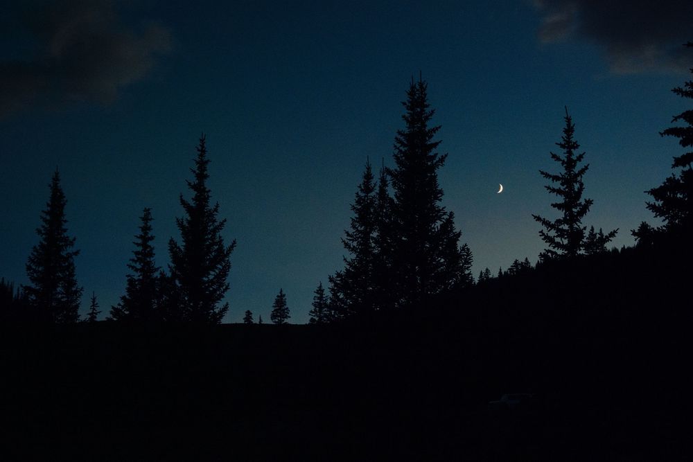 Silhouette of pine trees against a dark evening sky in a mountain forest.