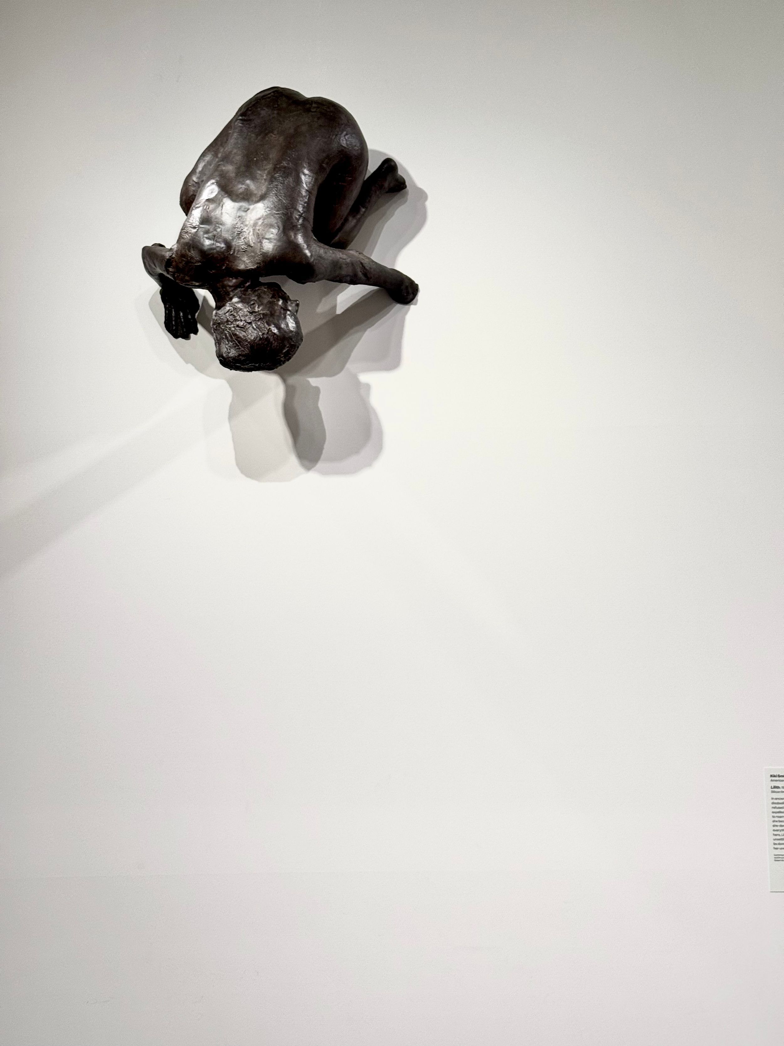 A dark sculptural form mounted on a white wall casts dramatic shadows in an artistic display.