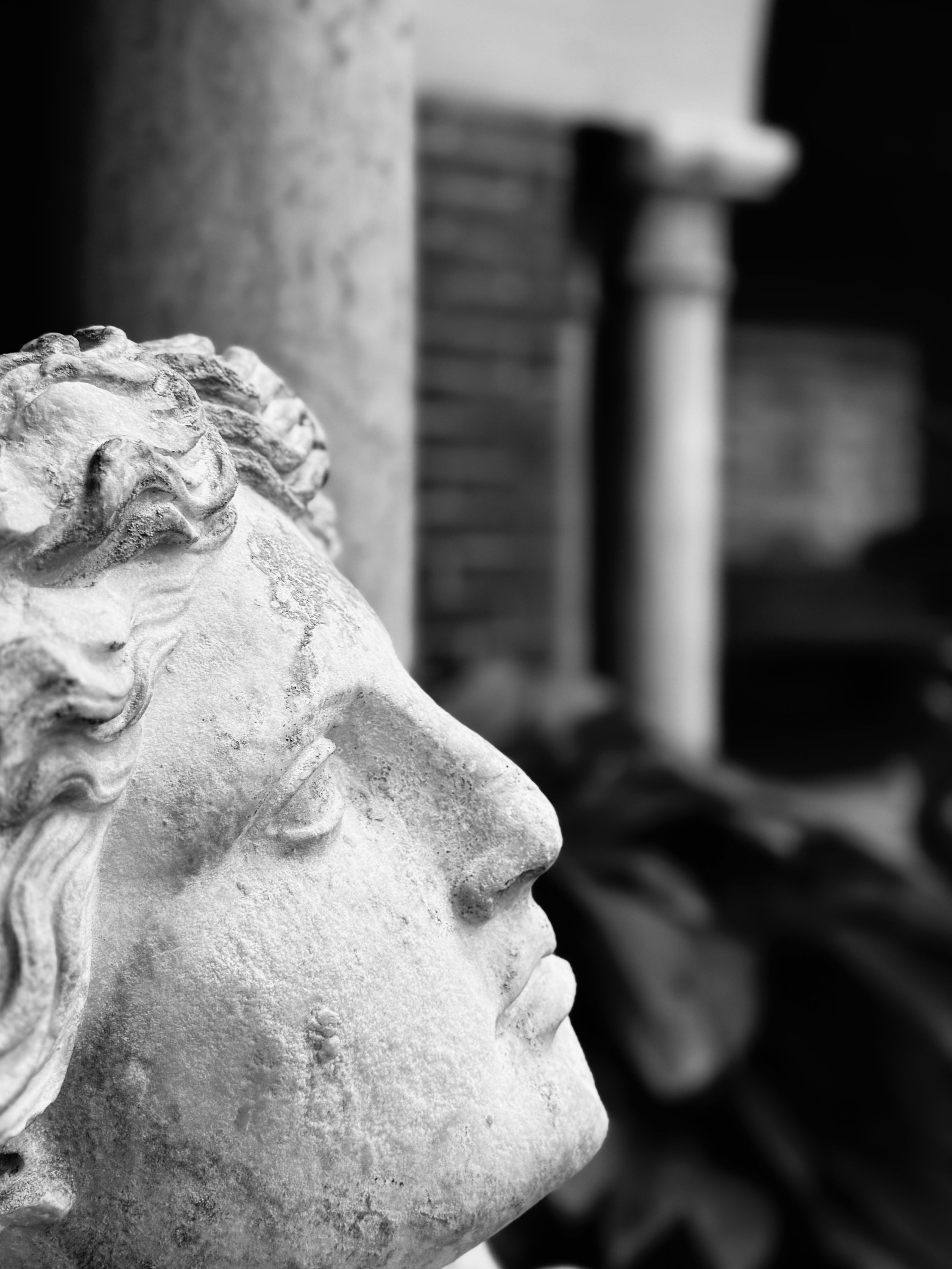 A series of black and white photographs showing classical stone sculptures in profile against a dark background.