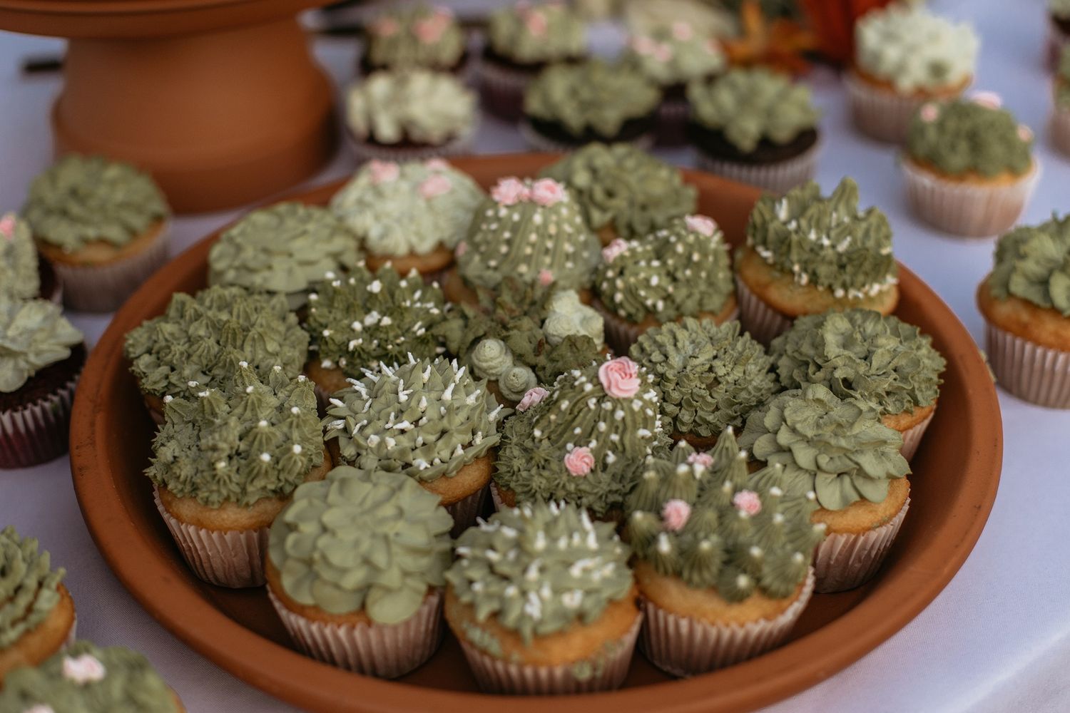 Decorative cactus-themed cupcakes with green frosting on a terracotta plate, resembling succulents with pink flower accents.