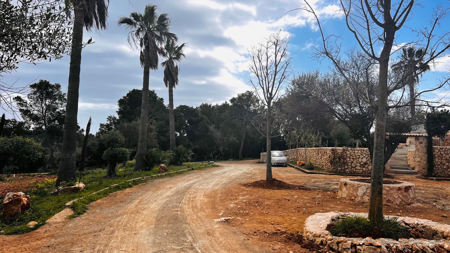 A winding dirt path leads through a lush, palm-tree lined landscape with a blue sky and scattered clouds above.