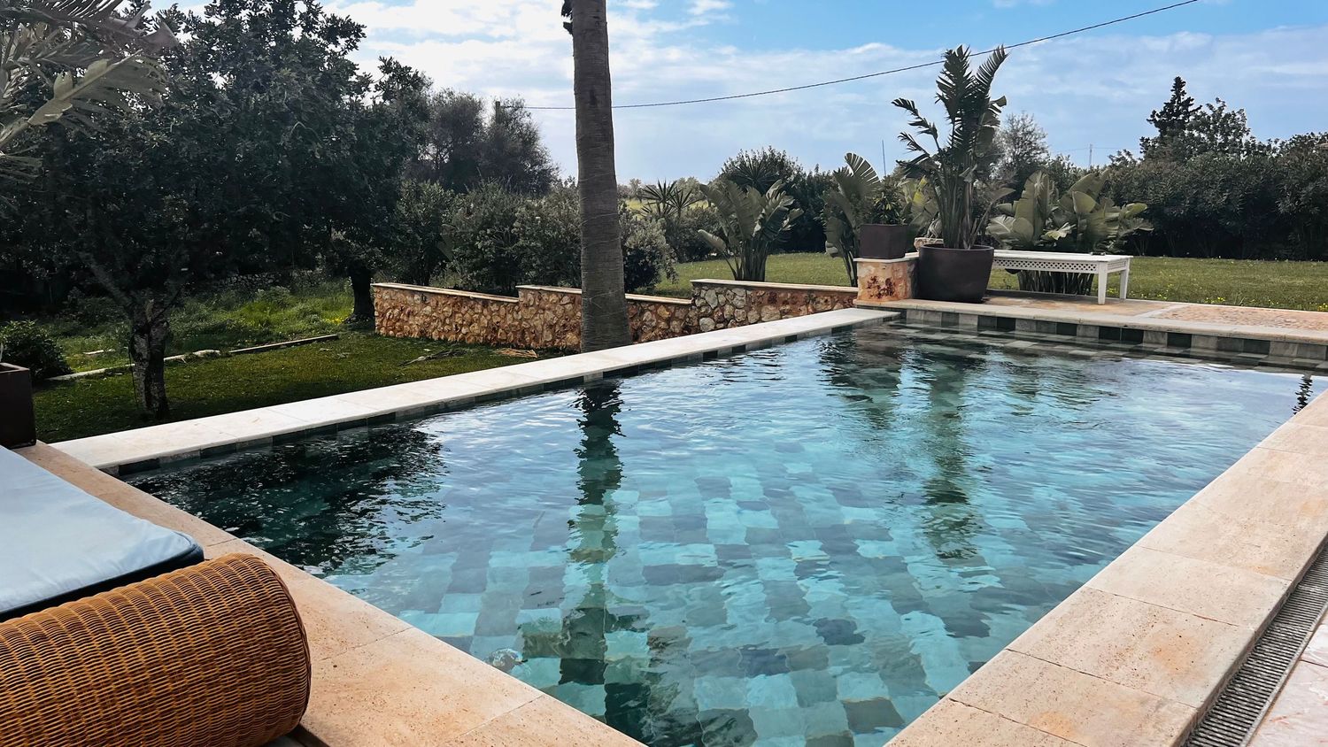 A swimming pool with a tiled deck surrounded by lush greenery and palm trees.