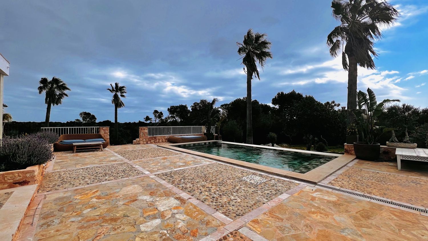 A swimming pool surrounded by palm trees and a paved patio area in a tropical setting.