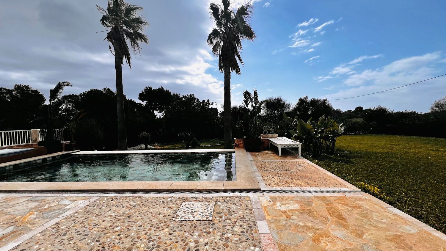 A serene backyard scene with a swimming pool surrounded by palm trees and lush greenery.
