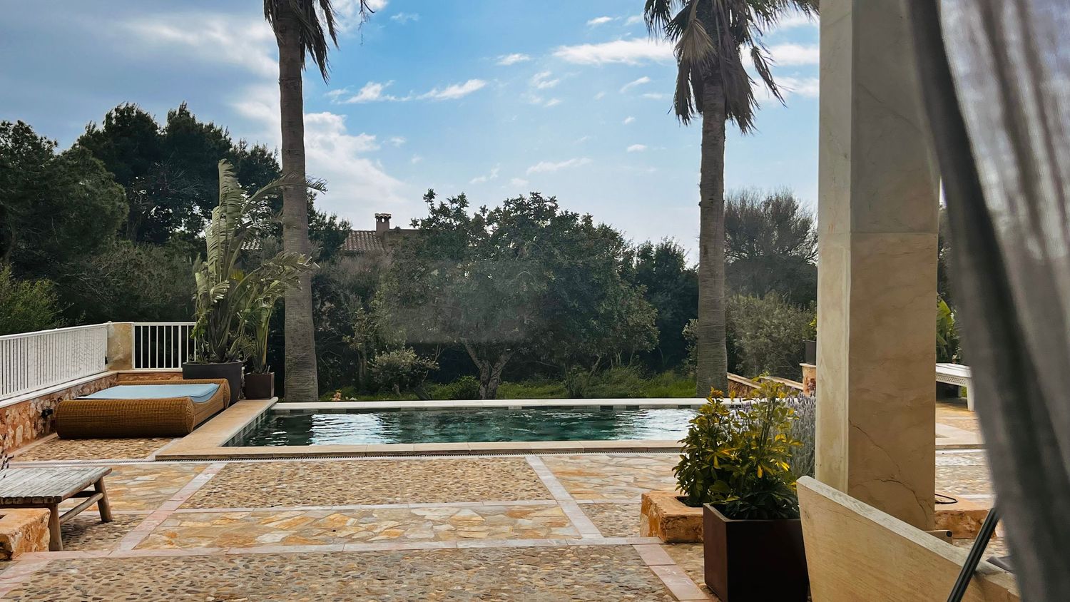 A scenic view of a backyard with a swimming pool, palm trees, and lush greenery surrounding the property.