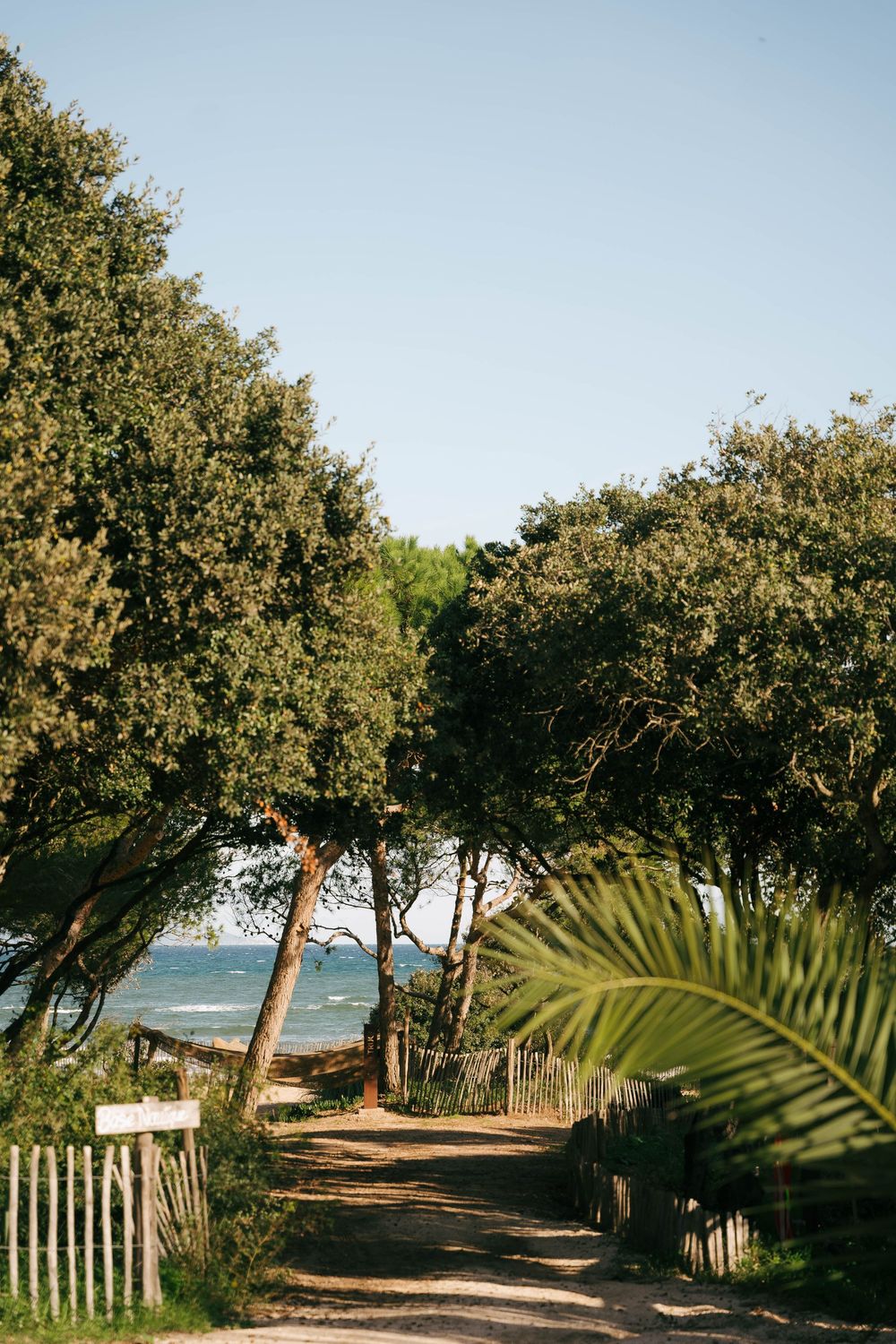Un chemin de sable bordé d'arbres et de clôtures en bois mène à une vue panoramique sur l'océan sous un ciel bleu clair.