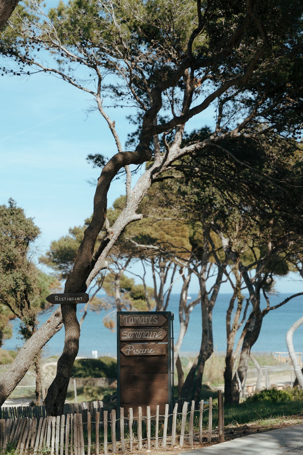 Wooden directional sign among pine trees near a coastal path with blue sea visible in the background.