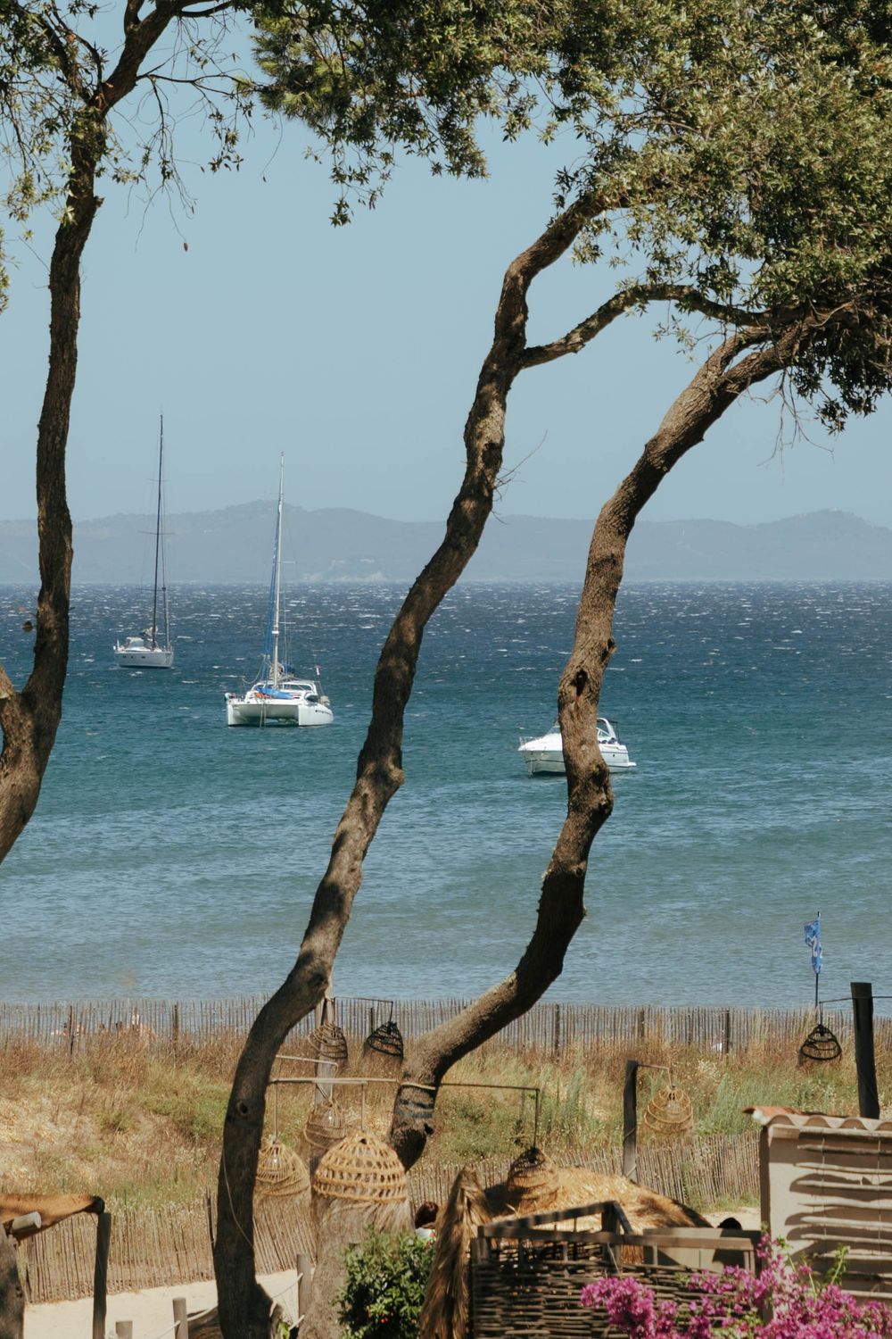 Voiliers ancrés dans les eaux turquoises de la Méditerranée vue à travers les pins par une journée ensoleillée de plage.