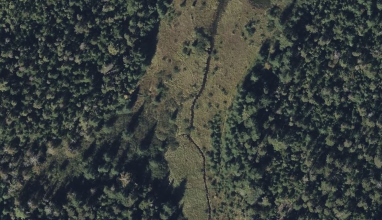 Satellite image of a game trail coming from swamp