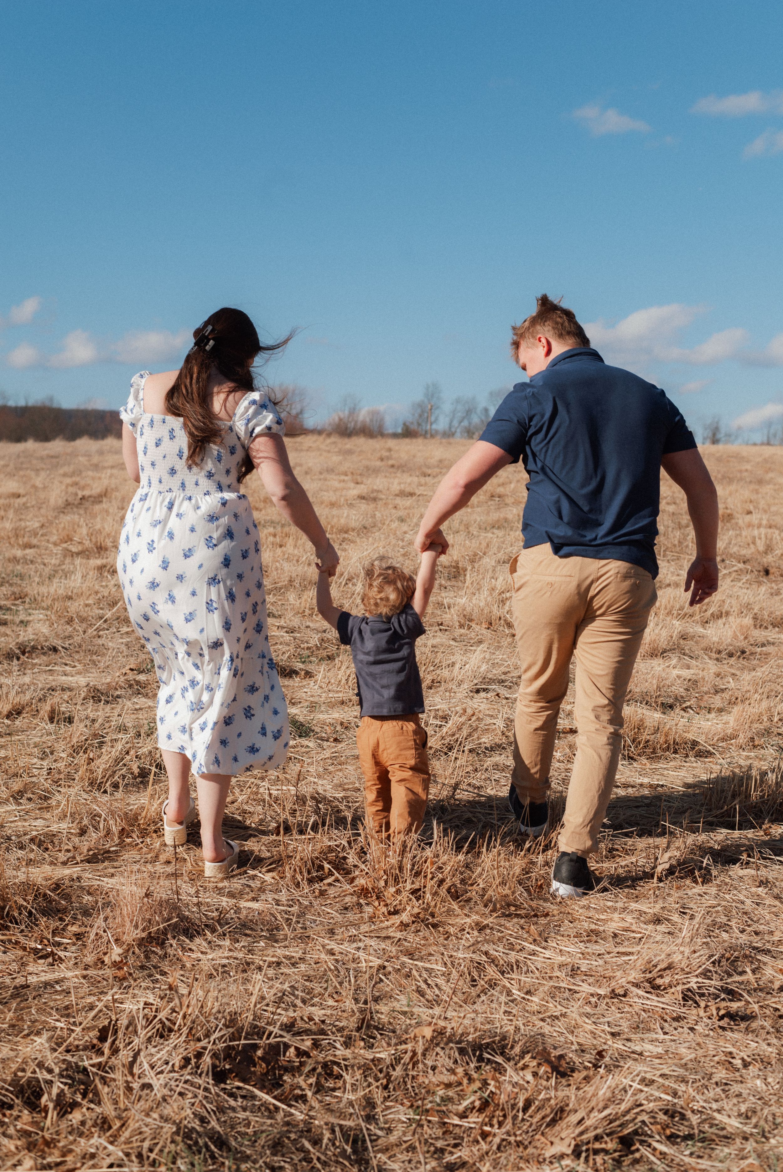 Family of three walking hand-in-hand through a golden field under a blue sky, viewed from behind.
